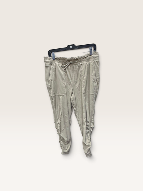 Vist Large View of Product Image Which is Used Lululemon Athletica Active Pant 12-31