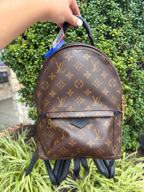 Vist Large View of Product Image Which is Used Louis Vuitton Palm Springs backpack Leather Handbag
