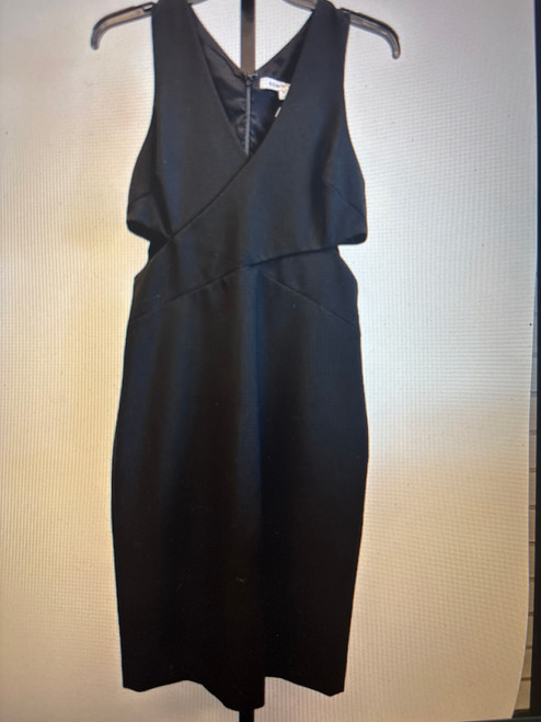 Vist Large View of Product Image Which is Used Elizabeth & James Short Dress P M-8/10 60076-S000580676