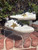 Used Golden Goose Casual Shoes 11 60067-S000840710 View 1