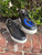 Dolce & Gabbana Casual Shoes 8 60067-S000840860 View 1