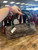 Used Unbranded Small Leather Handbag 60076-S000677045 View 1