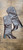 Used Schutz Tall Boots 9 60032-S000724774 View 1