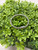 Used Lagos Two Tone Bracelet 60032-S000725084 View 10