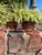 Used Unbranded Sunglasses 60067-S000842376 View 1