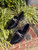Used Aldo Flats 7 60067-S000842443 View 3