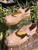 Used Jimmy Choo Flats 10 60067-S000842678 View 1
