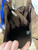 Used Wrangler Xlarge Handbag 60070-S000660283 View 4