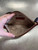 Used Michael Michael Kors Wristlet 60112-S000450229 View 10
