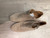 Used Lucky Brand Ankle Boots 10 60107-S000355295 View 1