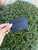 Used Kate Spade New York Wallet 60031-S000878691 View 1