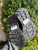 Used Alexander Mcqueen  Boots 8.5 60067-S000843376 View 4