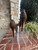 Used Fendi High Heels 7 60067-S000843771 View 4