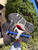 Used Dior Sneakers 6 60067-S000843876 View 4