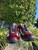 Used Prada Mens Athletic Shoes 7 60067-S000844132 View 2