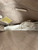 Used Michael Michael Kors Xlarge Handbag 60069-S000811106 View 4