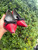 Used Miu Miu Low Heels 9 60067-S000844156 View 5