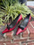 Used Miu Miu Low Heels 9 60067-S000844156 View 1
