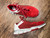 Used Adidas Performance Shoes 7 60043-S000991581 View 1