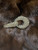 Used Mink Cape S-4/6 60049-S000866468 View 4