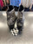 Used Union Bay Ankle Boots 9.5 60112-S000450839 View 3