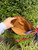 Used MCM red small Leather Handbag 60067-S000844760 View 6