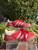 Used Adidas Casual Shoes 6.5 60067-S000844980 View 1
