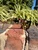 Used Gucci Sunglasses 60067-S000845235 View 3