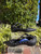 Used Valentino Flats 6 60067-S000845282 View 1