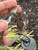 Used MW Watch 60067-S000845480 View 6