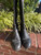 Used Tory BurchTall Boots 8 60067-S000845504 View 3