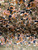 Used Vera Bradley Xlarge Handbag 60043-S000994118 View 4
