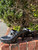 Used Cole Haan High Heels 9 60067-S000846172 View 3