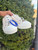Used Dior Casual Shoes 7 60067-S000846799 View 4