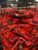 Used Lululemon Athletica Active Capri 2-26 60100-S000225658 View 6