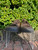 Used Men's Louis Vuitton Shoes 8 60067-S000674579 View 4