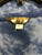 Used 2 Short Sleeve Top P L-12/14 60130-S000167732 View 3