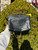 Used Jimmy Choo Crossbody 60067-S000700404 View 4