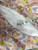 Used Amur Short Dress F L-12/14 60032-S000572788 View 3