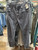 Used Pilcro Casual Pant 4-27 60032-S000597689 View 1