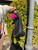 Used MCM Munchen Hobo Bag 60067-S000704481 View 5