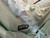 Used Adidas Active Shorts XL 16/33 60032-S000604850 View 3