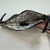Used Kate Spade Leather Wristlet 60006-S001070962 View 3