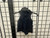Used Lululemon Athletica Sports Bra S-4/6 60032-S000619109 View 1