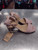 NWT Hippie Laundry Dress Sandals 8 60112-S000413363 View 4