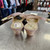 Used Unbranded Flats 10 60112-S000414119 View 3