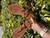 Used tory Burch Dress Sandals 5 60085-S000321692 View 1
