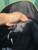 Used Coach Xlarge Leather Handbag 60084-S000820936 View 24
