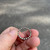 Used Pandora Ring 60102-S000394121 View 3