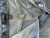 Used Wild Fable Shorts 16-33 60030-S000844421 View 1